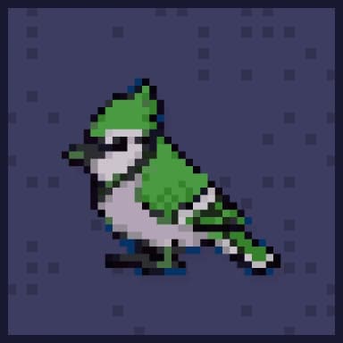 Blue Jay Midnight artwork preview
